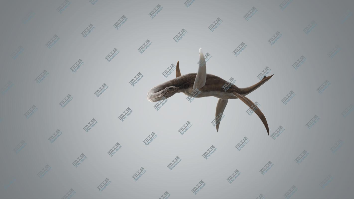 images/goods_img/202104021/3D Plesiosaur Rigged/4.jpg